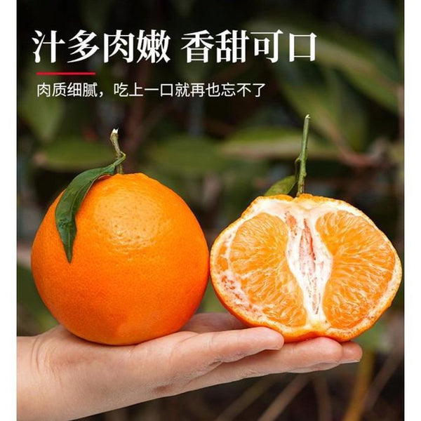 Mandarin Orange